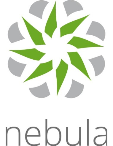 Zyxel LIC-NSS-SP-ZZ0010F licenza per software aggiornamento 1 licenza e 1 anno i