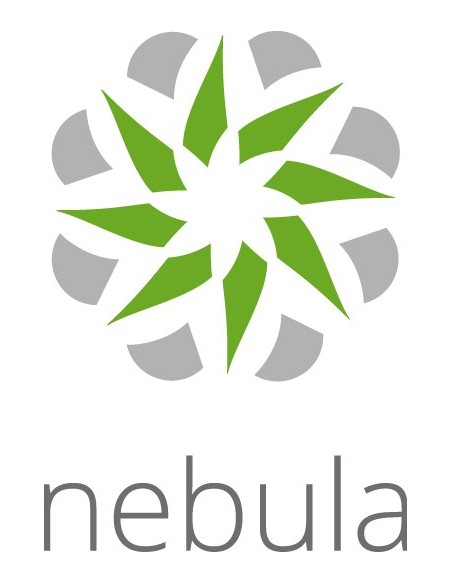 Zyxel LIC-NSS-SP-ZZ0010F licenza per software aggiornamento 1 licenza e 1 anno i