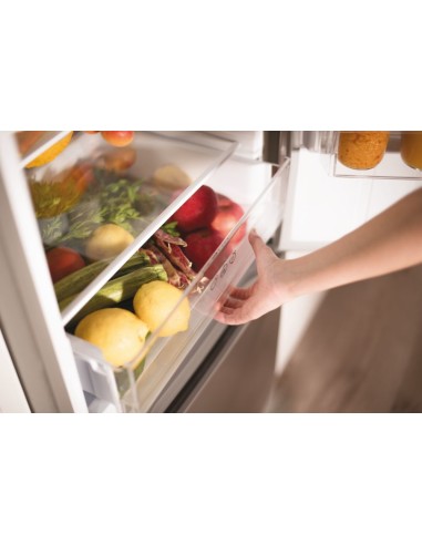 Candy CMCL 5144XN frigorifero con congelatore Libera installazione 205 L E Argento