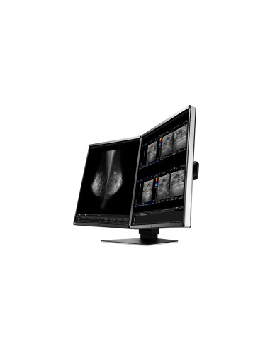 EIZO RadiForce RX560-MD Monitor PC 54,1 cm (21.3") 2048 x 2560 Pixel LCD Nero