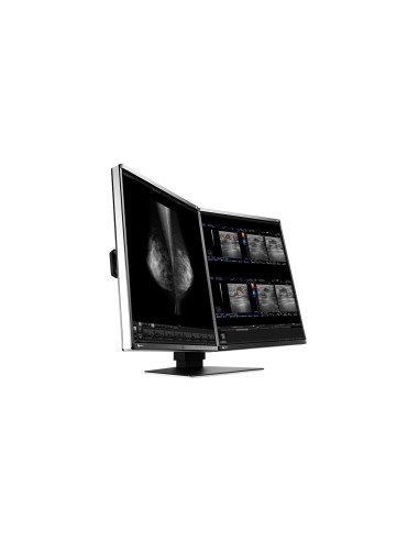 EIZO RadiForce RX560-MD Monitor PC 54,1 cm (21.3") 2048 x 2560 Pixel LCD Nero