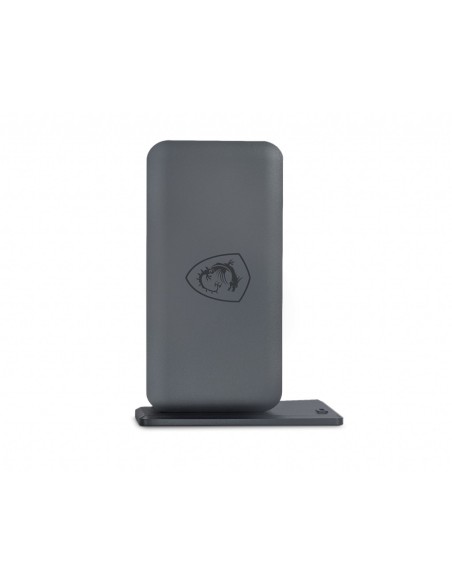 MSI USB-C Docking Station Cablato USB 3.2 Gen 2 (3.1 Gen 2) Type-C Grigio