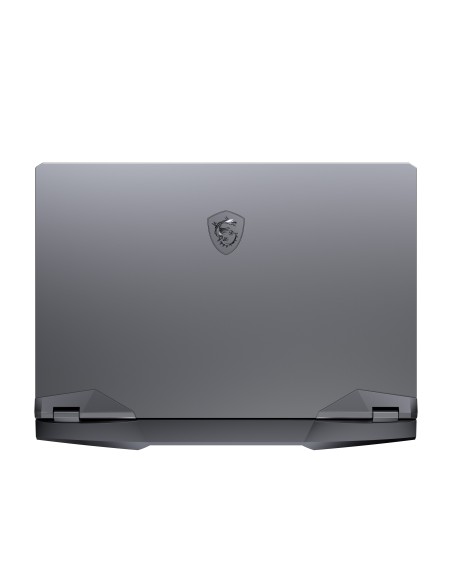 MSI Gaming GE66 10SFS-622IT Raider i7-10875H Computer portatile 39,6 cm (15.6") Full HD Intel® Core™ i7 16 GB DDR4-SDRAM 1000