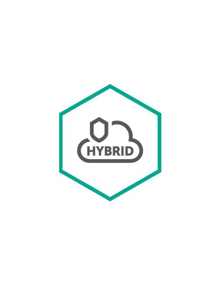 Kaspersky Lab Hybrid Cloud Security for Desktop Base 1 anno i