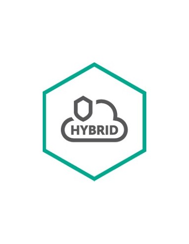 Kaspersky Lab Hybrid Cloud Security for Server Aggiornamento 1 anno i