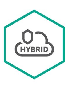 Kaspersky Lab Hybrid Cloud Security Istruzione (EDU) 12 mese(i)