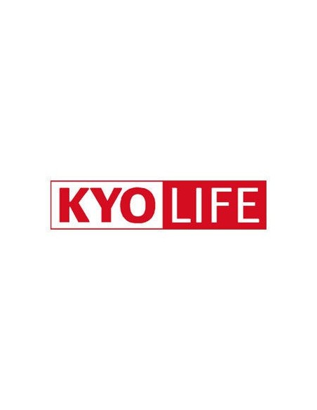 KYOCERA KYOlife, 5Y