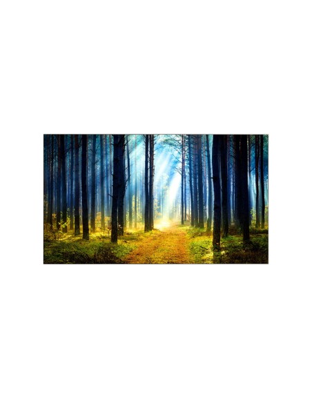 LG SIGNATURE 65WT980H TV 165,1 cm (65") 4K Ultra HD Smart TV Wi-Fi Nero