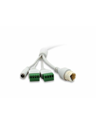 LevelOne FCS-3086 telecamera di sorveglianza Cupola Telecamera di sicurezza IP Interno e esterno 2688 x 1520 Pixel Soffitto muro