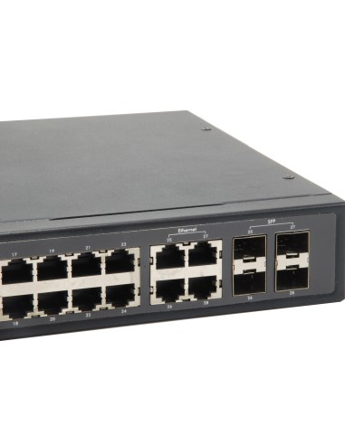 LevelOne GES-2451 switch di rete Gigabit Ethernet (10 100 1000) Nero