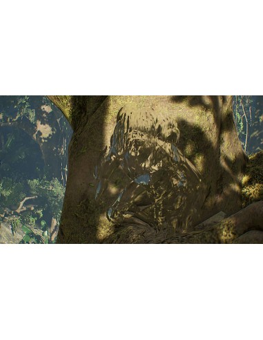 Sony Predator  Hunting Grounds Standard PlayStation 4