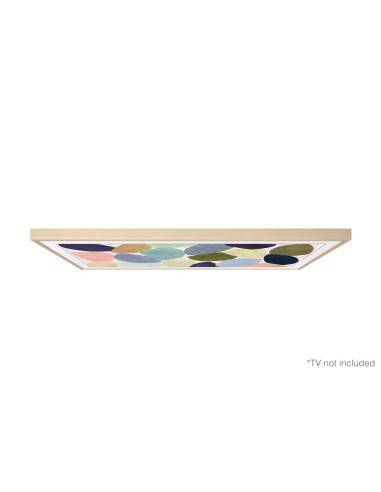 Samsung VG-SCFT43BE XC accessorio TV