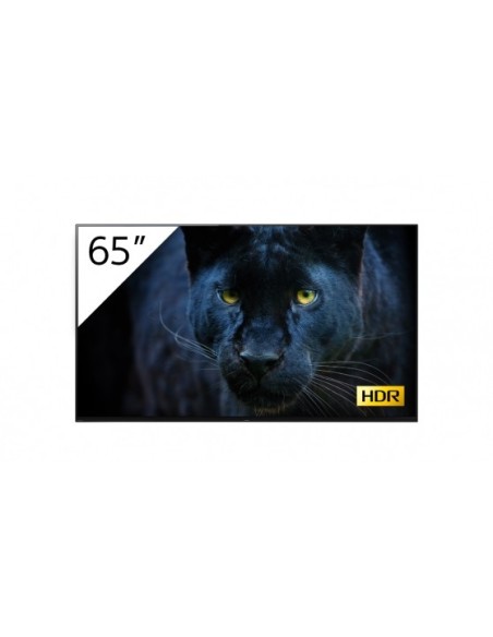 Sony FWD-65A8 T visualizzatore di messaggi Pannello piatto per segnaletica digitale 163,8 cm (64.5") OLED Wi-Fi 393 cd m² 4K