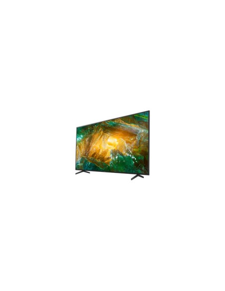Sony KD49XH8096BAEP TV 124,5 cm (49") 4K Ultra HD Smart TV Wi-Fi Nero