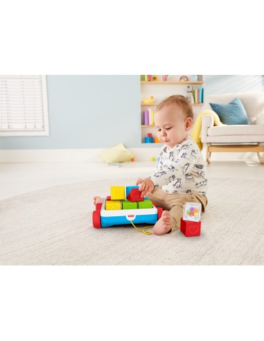 Fisher-Price Blocchi Sempre con Te