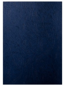 Leitz 33666 cartellina A4 Cartoncino Nero 100 pz