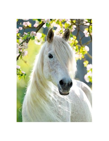 Ravensburger 14726 puzzle 500 pz Fauna