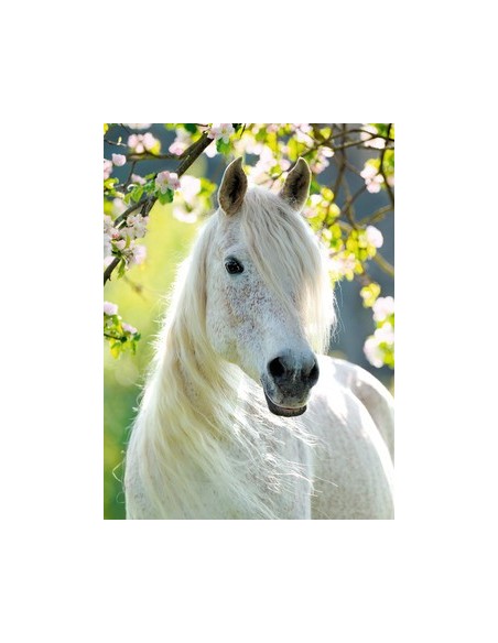 Ravensburger 14726 puzzle 500 pz Fauna