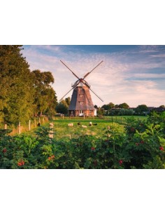 Ravensburger 00.016.223 Puzzle scorrevole 1500 pz Landscape 2