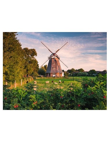 Ravensburger 00.016.223 Puzzle scorrevole 1500 pz Landscape