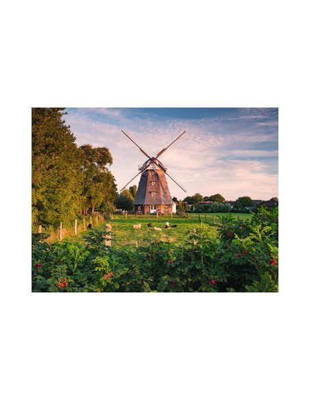 Ravensburger 00.016.223 Puzzle scorrevole 1500 pz Landscape