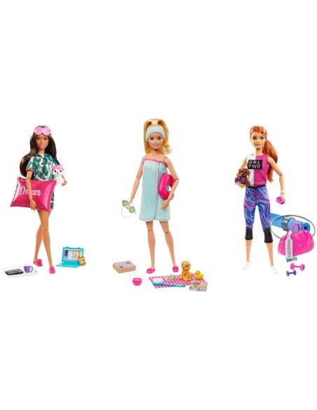 Barbie Wellness Assortimento