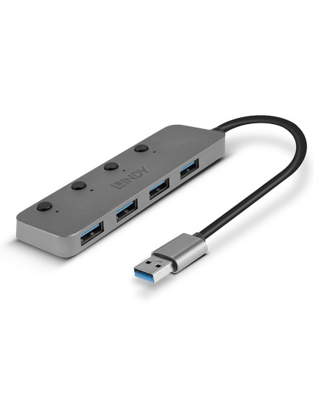 Lindy 43309 hub di interfaccia USB 3.2 Gen 1 (3.1 Gen 1) Type-A 5 Mbit s Grigio