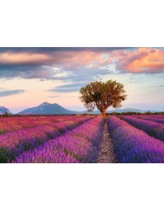 Ravensburger 16724 puzzle 1000 pz Landscape 2