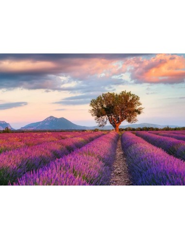 Ravensburger 16724 puzzle 1000 pz Landscape