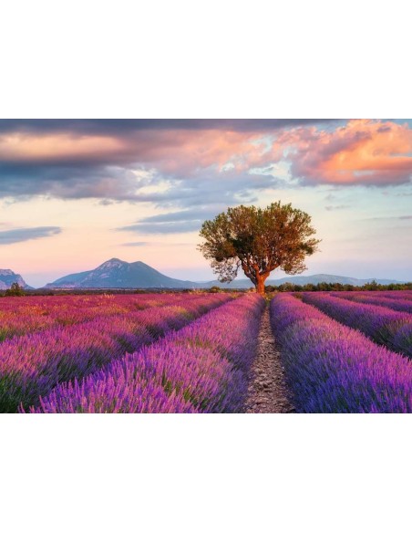 Ravensburger 16724 puzzle 1000 pz Landscape