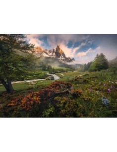 Ravensburger Alpi francesi 2