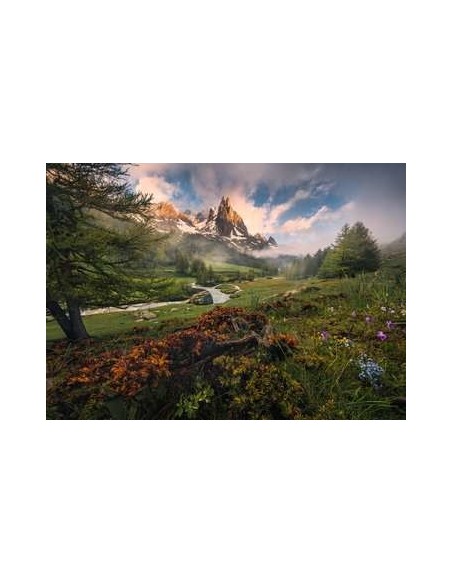 Ravensburger Alpi francesi