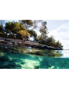 Ravensburger 16198 puzzle 1000 pz Landscape 2