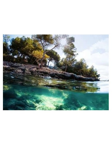 Ravensburger 16198 puzzle 1000 pz Landscape