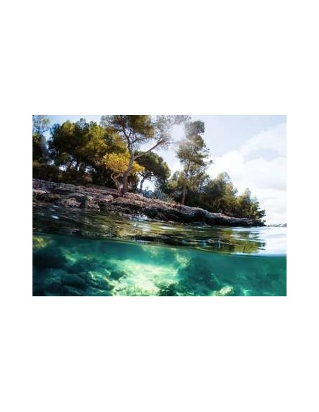 Ravensburger 16198 puzzle 1000 pz Landscape