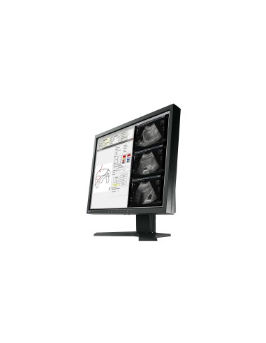 EIZO RadiForce MX194 48,3 cm (19") 1280 x 1024 Pixel LCD Nero