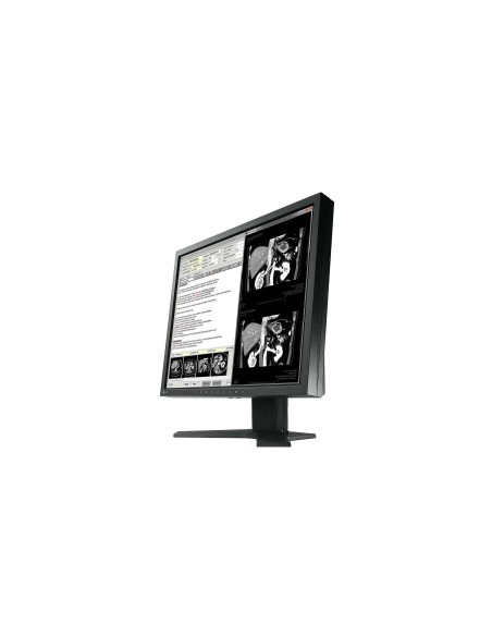 EIZO RadiForce MX194 48,3 cm (19") 1280 x 1024 Pixel LCD Nero