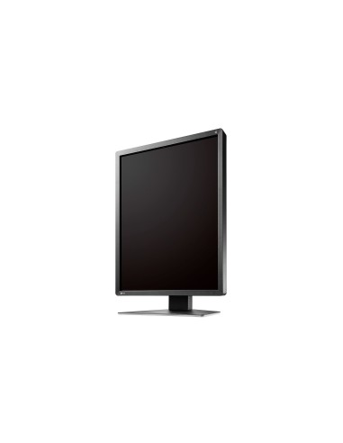 EIZO RadiForce MX216-SB LED display 53,3 cm (21") 1200 x 1600 Pixel Nero