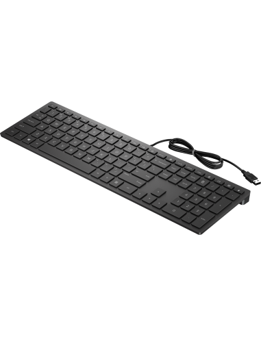 HP Pavilion Wired Keyboard 300