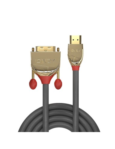 Lindy 36195 cavo e adattatore video 2 m HDMI tipo A (Standard) DVI-D Oro, Grigio