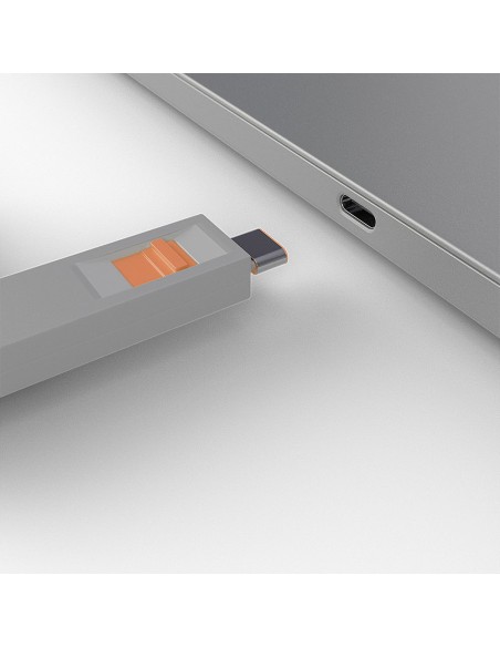 Lindy 40428 clip sicura Chiave bloccaporta USB tipo-C Grigio, Arancione 4 pz
