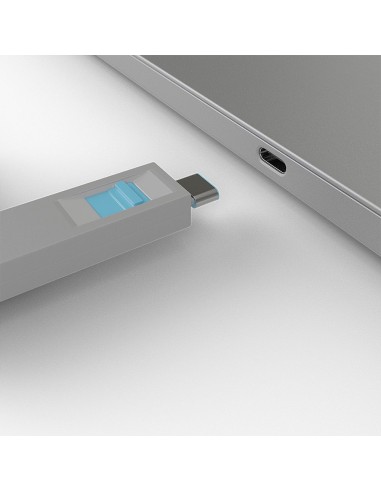 Lindy 40465 copertura antipolvere per porta 1 pz