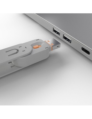 Lindy 40623 accessorio del dispositivo di ingresso