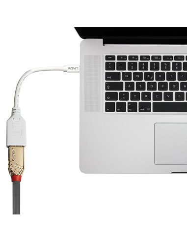 Lindy 41021 cavo DisplayPort 0,15 m Mini DisplayPort Bianco