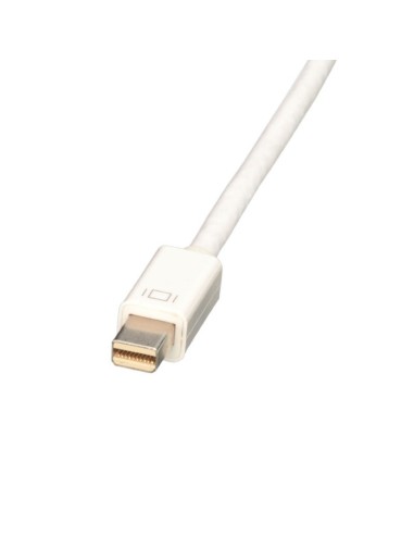 Lindy 41729 cavo e adattatore video 0,15 m HDMI DisplayPort Bianco