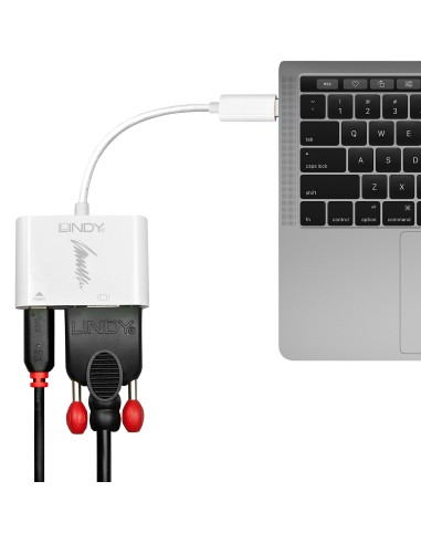 Lindy 43194 adattatore grafico USB 1920 x 1200 Pixel Bianco