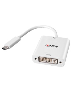 Lindy 43243 adattatore grafico USB 1920 x 1200 Pixel Bianco