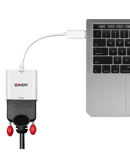 Lindy 43243 adattatore grafico USB 1920 x 1200 Pixel Bianco