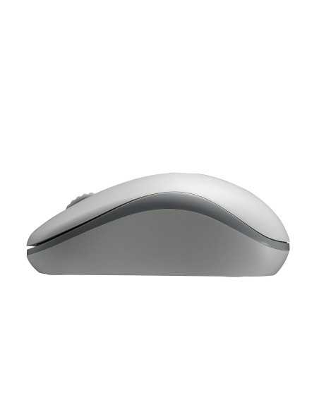Rapoo M10 Plus mouse Ambidestro RF Wireless Ottico 1000 DPI