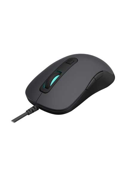 Rapoo N3610 – Mouse ottico con cavo USB, 1000 DPI – Mano destra - grigio